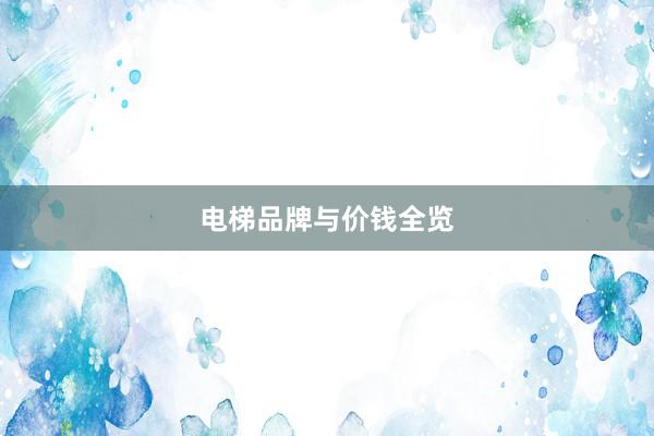 电梯品牌与价钱全览