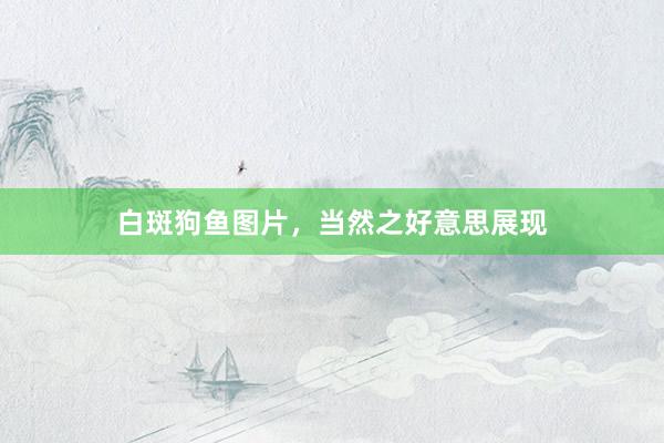 白斑狗鱼图片，当然之好意思展现