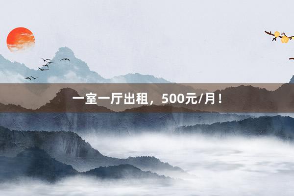 一室一厅出租,500元/月!
